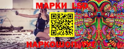 шишки Лесосибирск