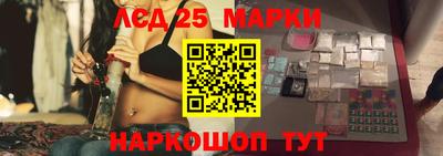 шишки Лесосибирск