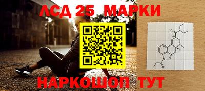 шишки Лесосибирск