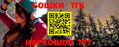 шишки Лесосибирск