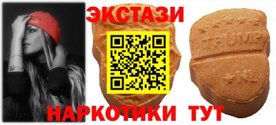 шишки Лесосибирск