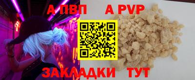 шишки Лесосибирск