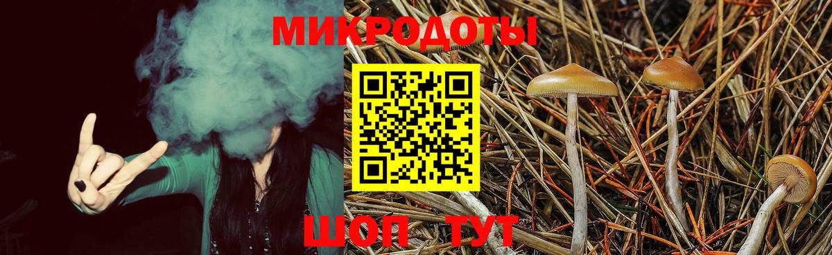 Псилоцибиновые грибы Cubensis  где купить наркотик  Фурманов  Вход с VPN 