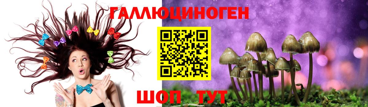 Галлюциногенные грибы MAGIC MUSHROOMS Фурманов